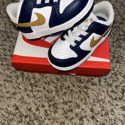 Toddler Nike Dunk