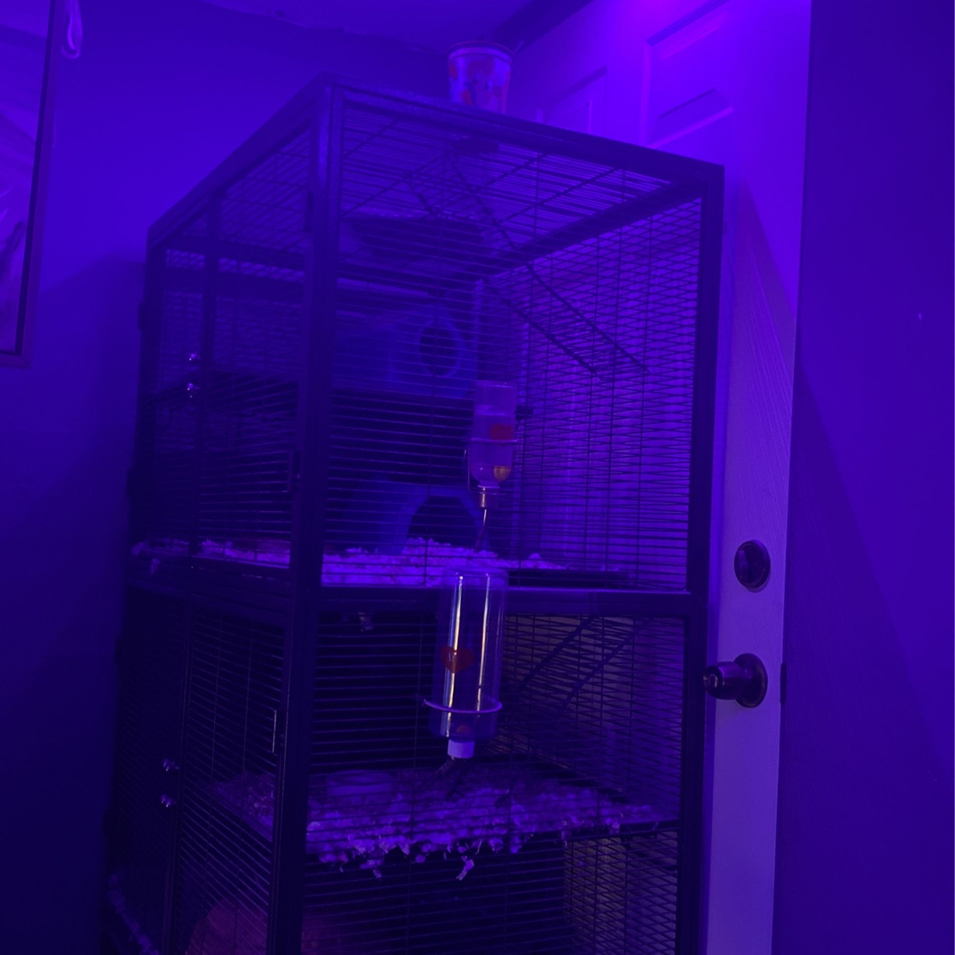 Chinchilla Cage