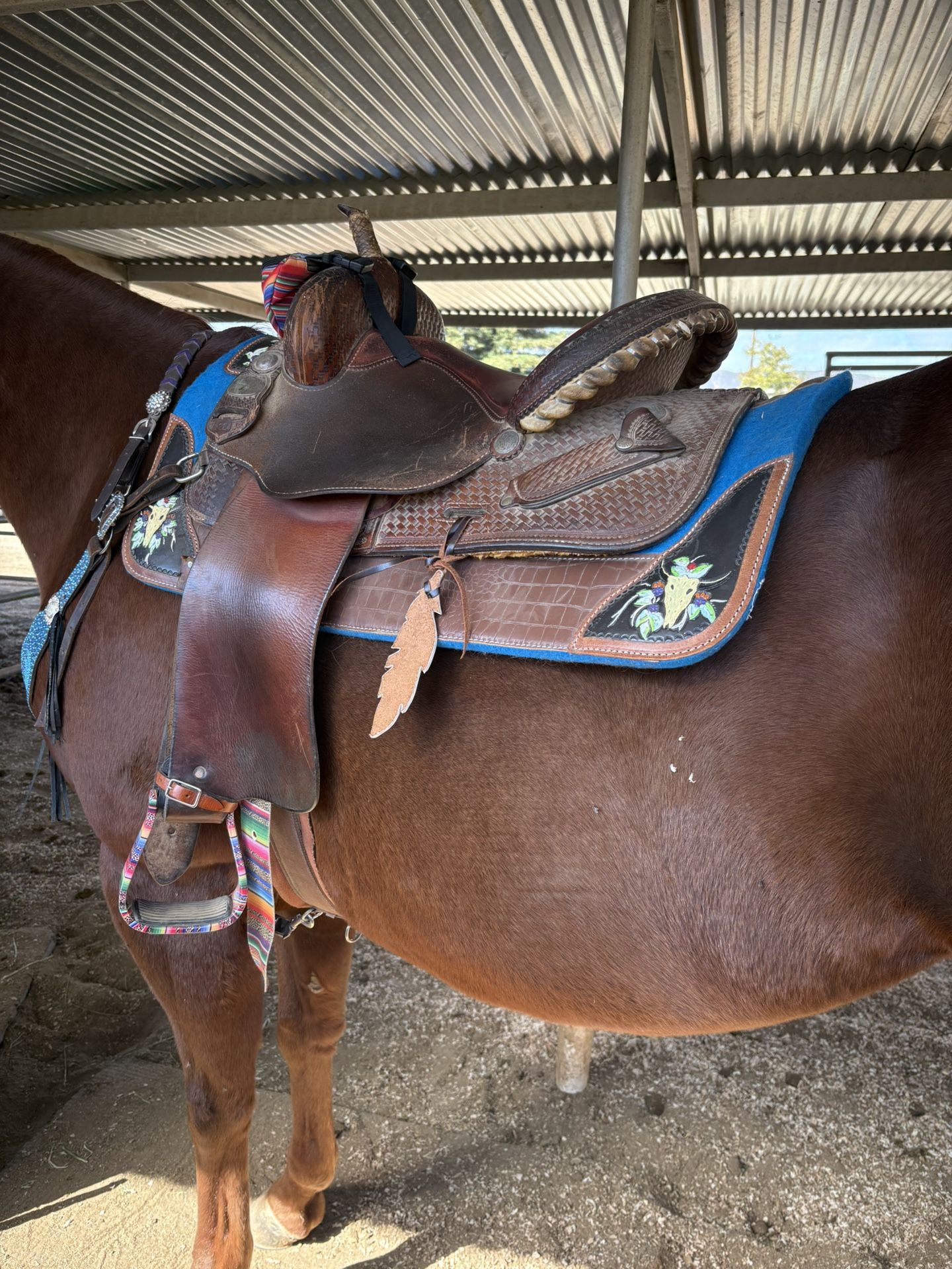 Horse Saddle
