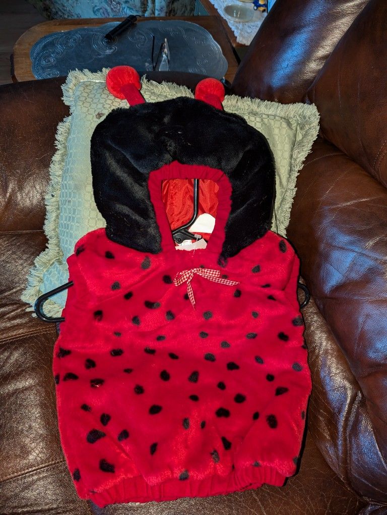 Halloween Costumes