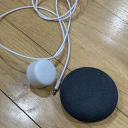 Google Nest Mini Smart Speaker