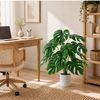 Great finds for your budget