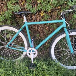 Skinny Benny  Bike