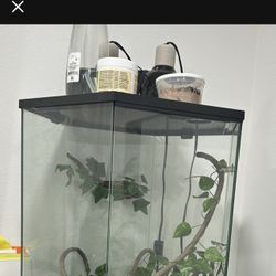 Thrive Vertical Hexagon Tropical Reptile Terrain 20 Gallon 