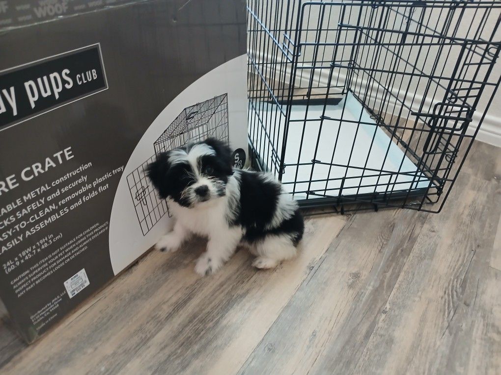 Pet Crate