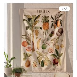 Tapestry Tapestries Set Cacti And Painted Landscape Medallion With Tassels 