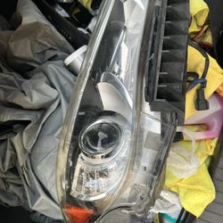 Q50 Headlight Assembly Non AFS