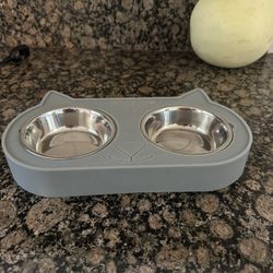Cat Food And Water Dishes