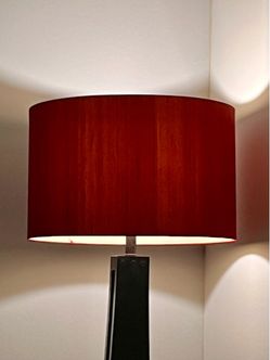 Price dropped! Cash only. Moving thurs. Floor Lamp. Drum Shade