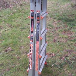 Little Giant Extreme 