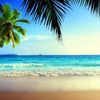 Sunshine Splash