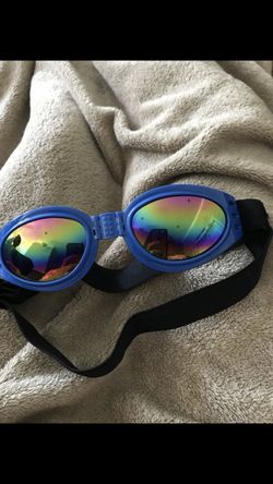 Dog sunglasses