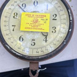 ShatiLLon Hanging Scale