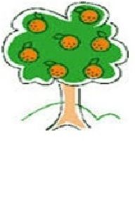 Several Garage Sales - Orange Tree Mobile Home Park - Sat Aug 29 8am - 3pm