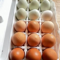 Free Range Local Eggs