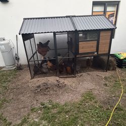 Chicken Coop 