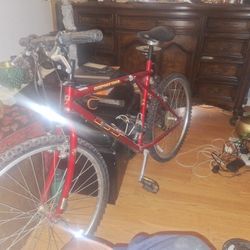 Diamondbacks GT Mountain Bike