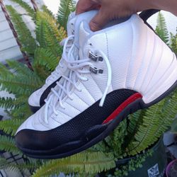 Air Jordan  12  