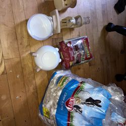 Hamster Food And Accessories 