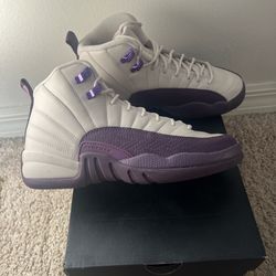 Air Jordan 12 Retro