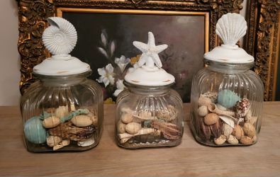 Set of 3 decorative glass shell vases with removable lid