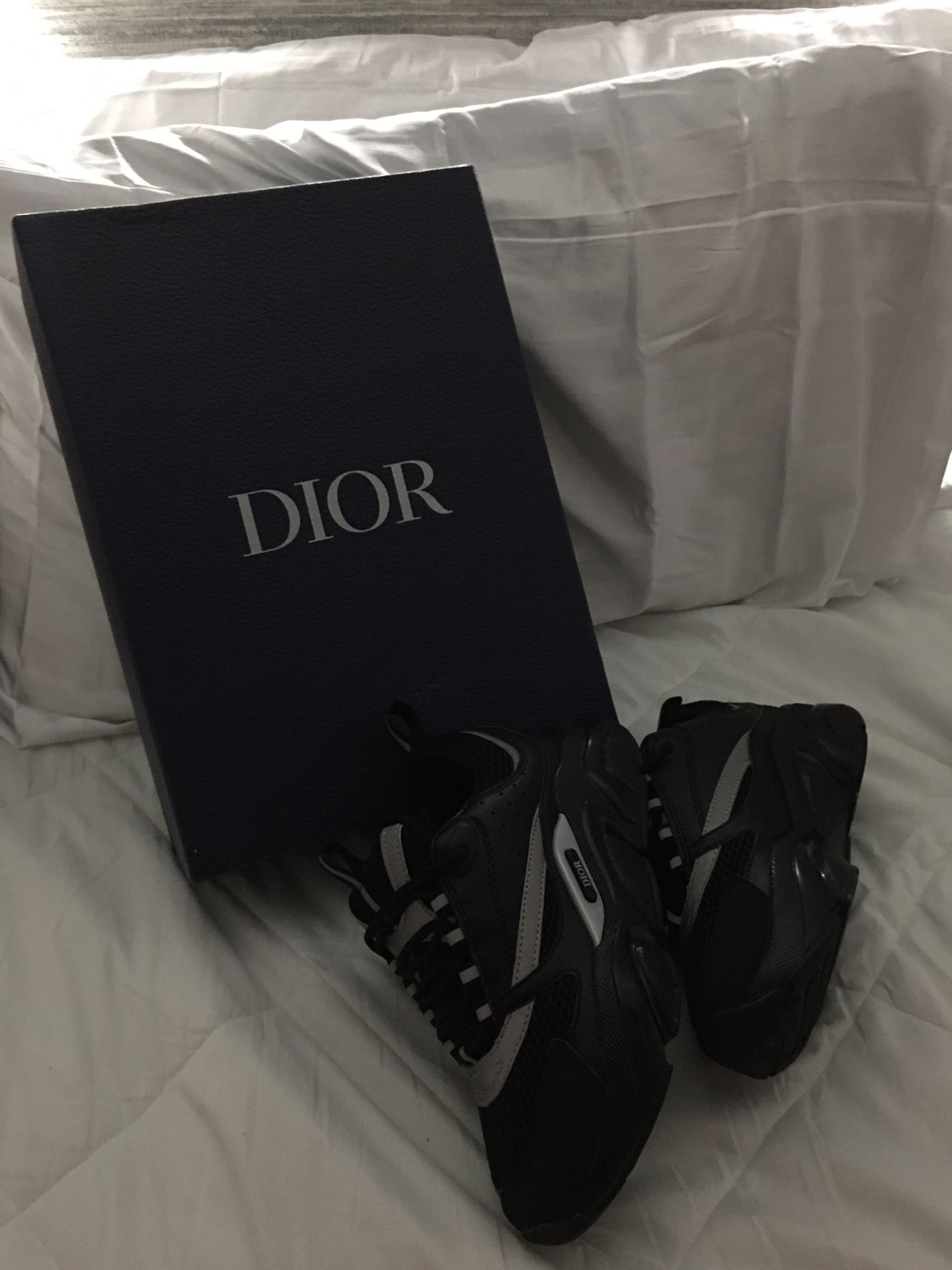 DIOR B22s