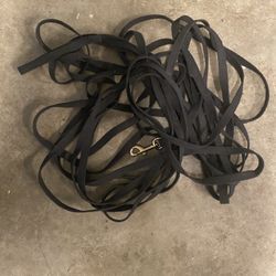 Dog Training Lead Lease (40 Plus Feet)