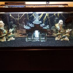 Fishtank 75 Gallon 