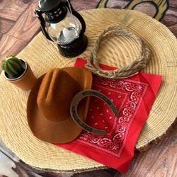 Cowboy/wild west theme party supplies