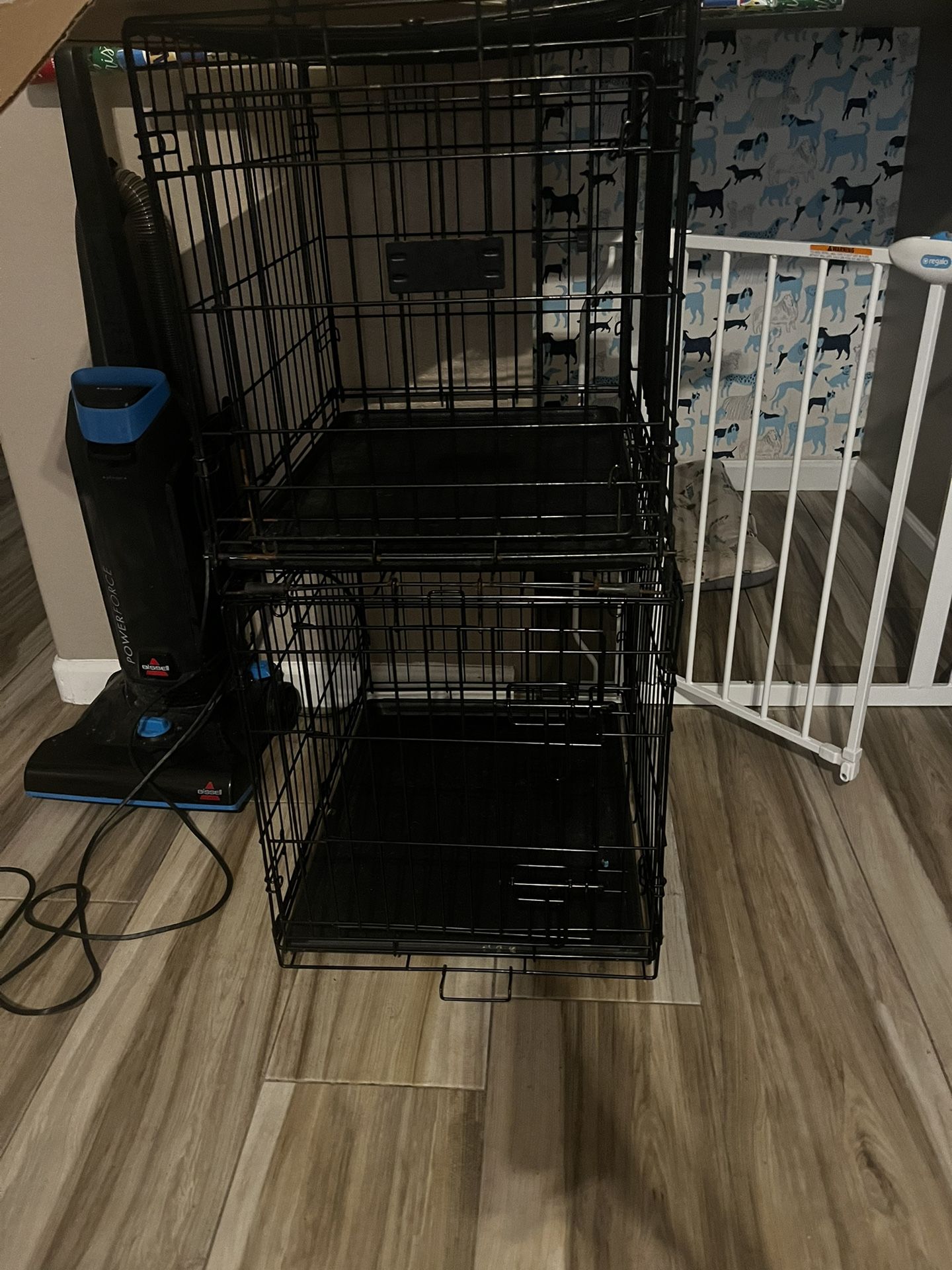 Dog Kennel