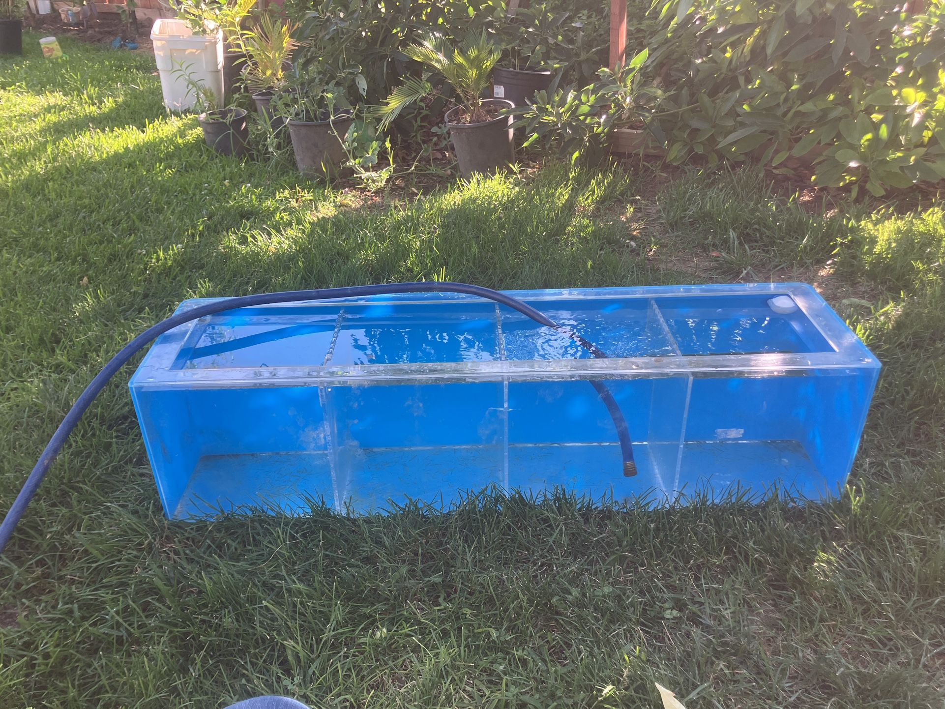 Breeder Fish Tank