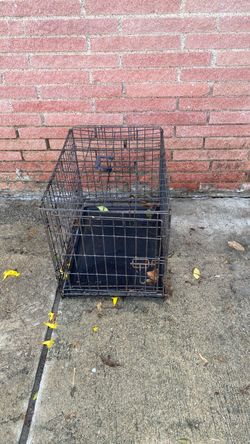 Dog cage