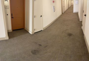 Carpet Stains Removing