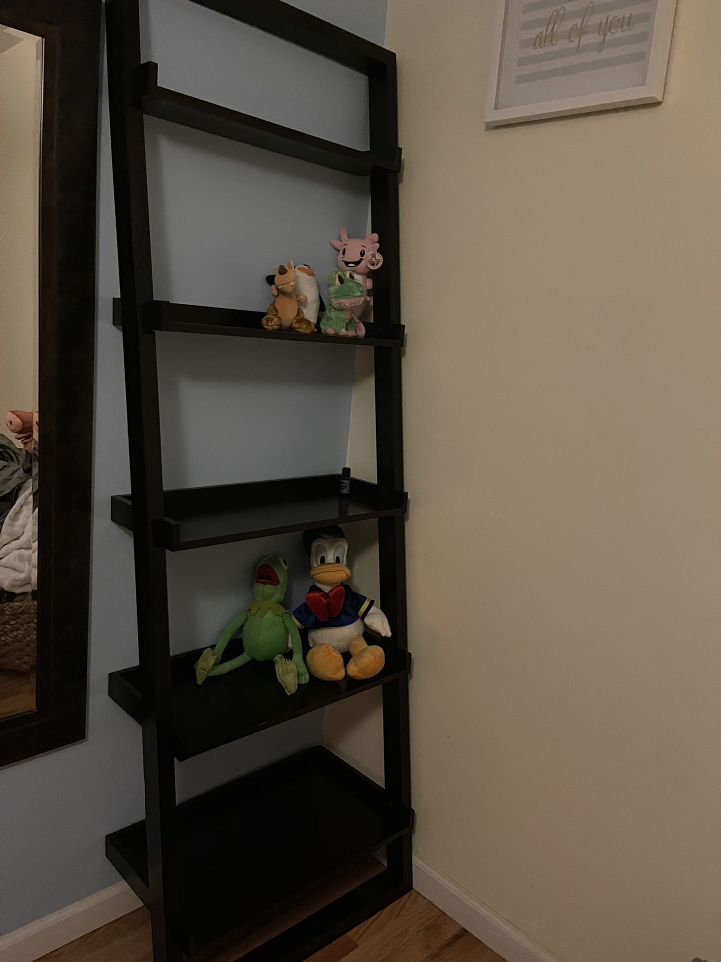 Leaning Bookshelves 