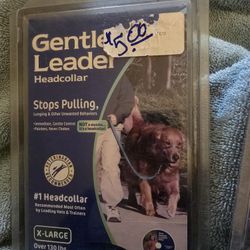 Gentle Leader Dog Leash