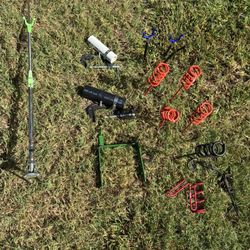 DOCK CARP AND SHOELINE 