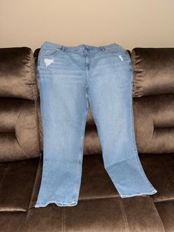 Hollister straight Jeans Bundle (4 Pairs) Size 18 Short