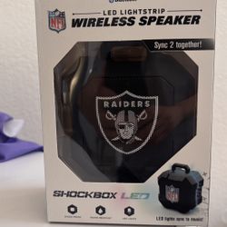 Raiders bluetooth speaker