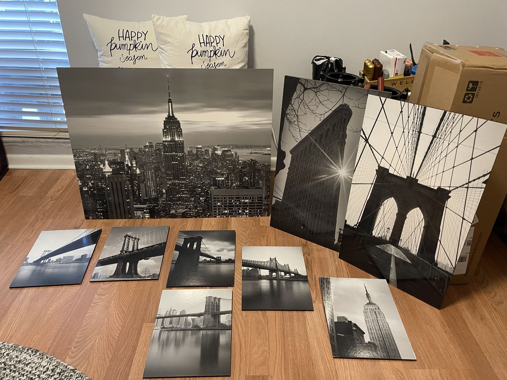 New York City Pictures 