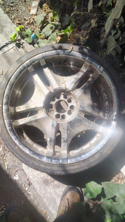 Rim