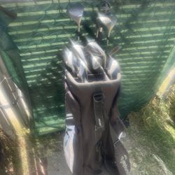 Tour Model Adult Right Handed Golf Clubs With Taylormade Cart Bag 