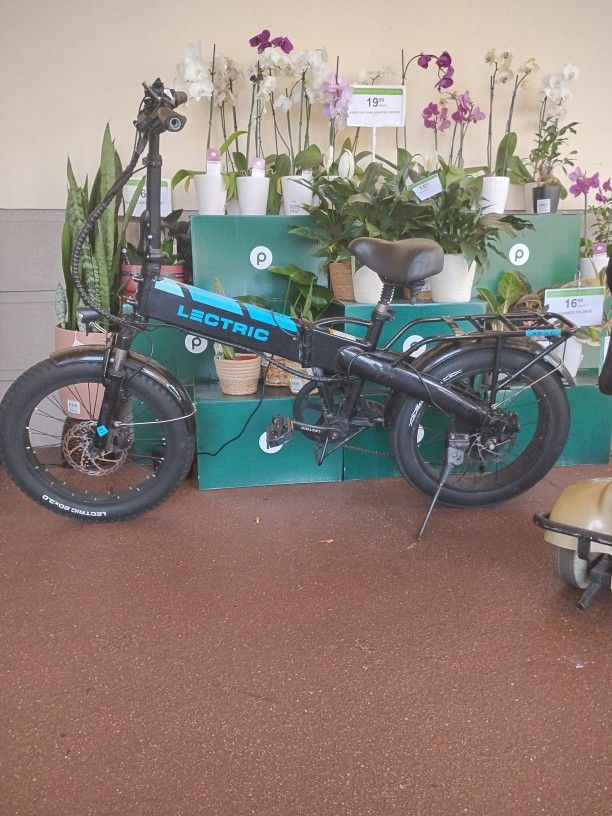 Electric Lectric XP 3.O