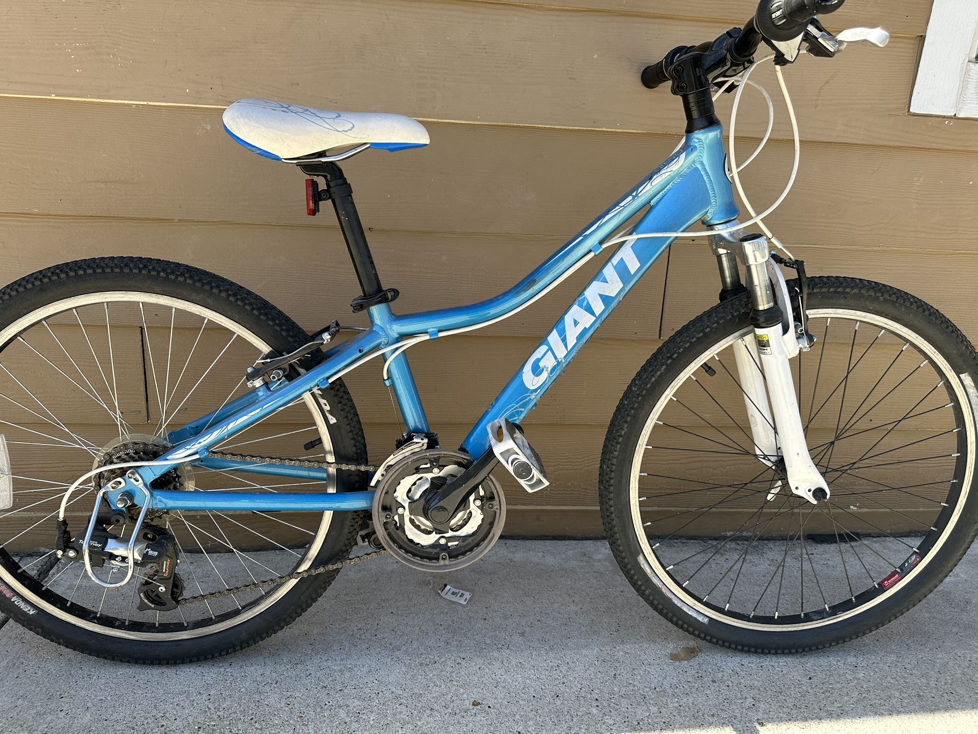 Aluminio Bike GYYANT Sz 24