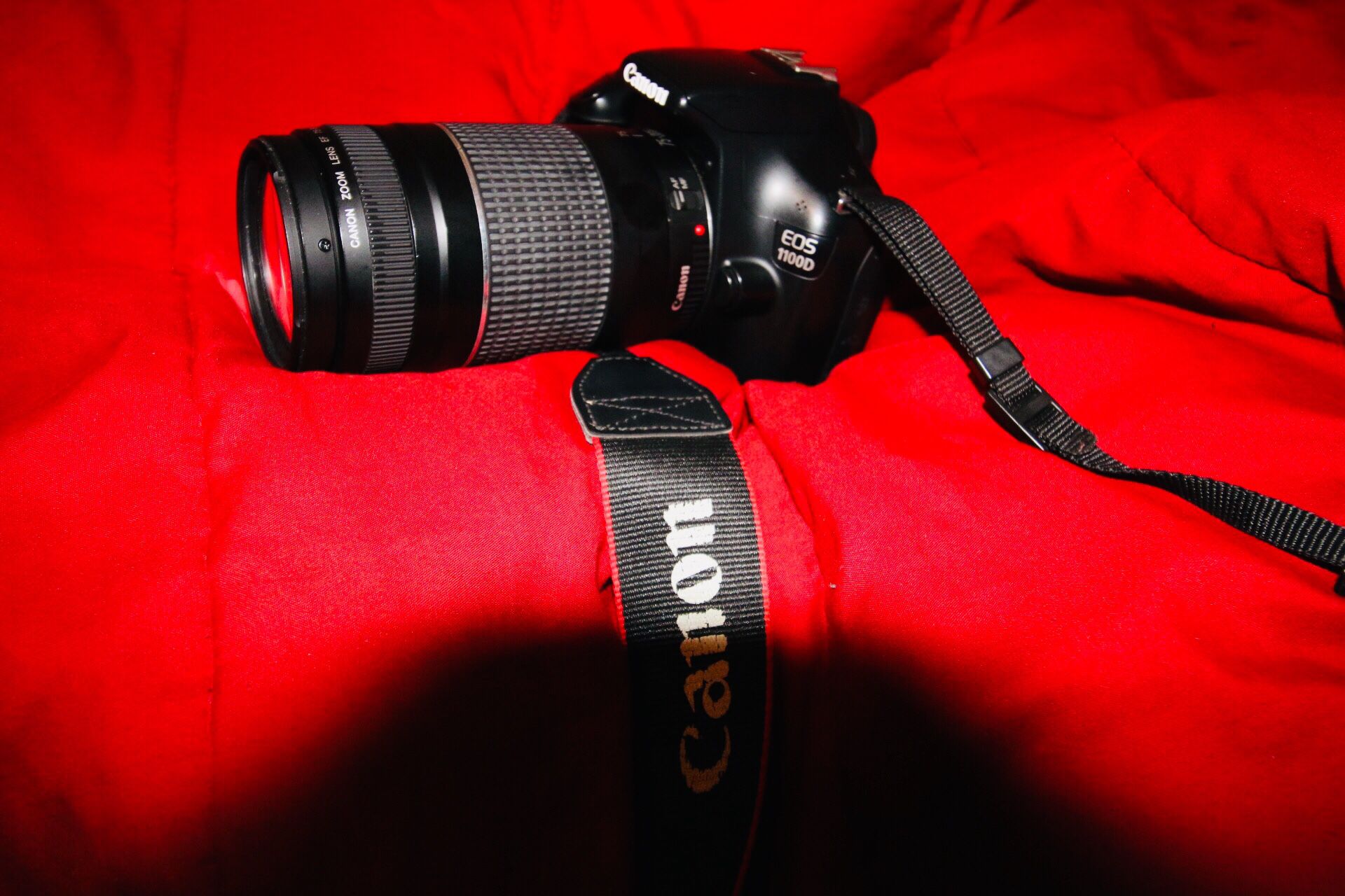 Canon EOS 1100D $300