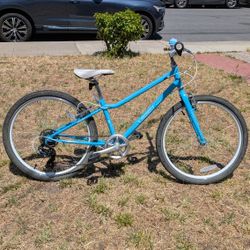 Guardian 24" 7-speed bike