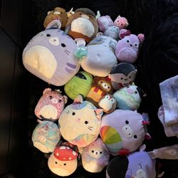 Squishmallow’s 
