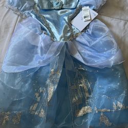 Cinderella Costume 