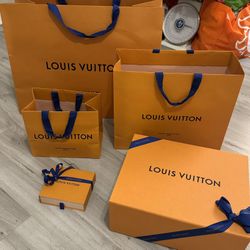 Louis vuitton Bags