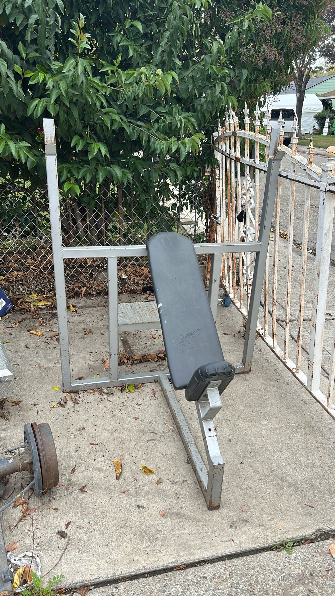 weight bench 