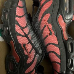 Nike Air Max Plus